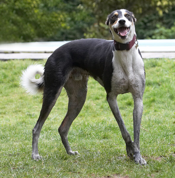 I am sooooooooo pleased with myself