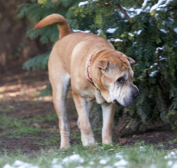 WOT is this white stuff?? ...........