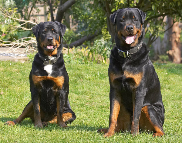 Look, Mommy, we're really well behaved