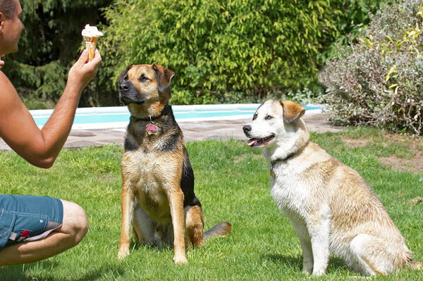Goody, ice cream