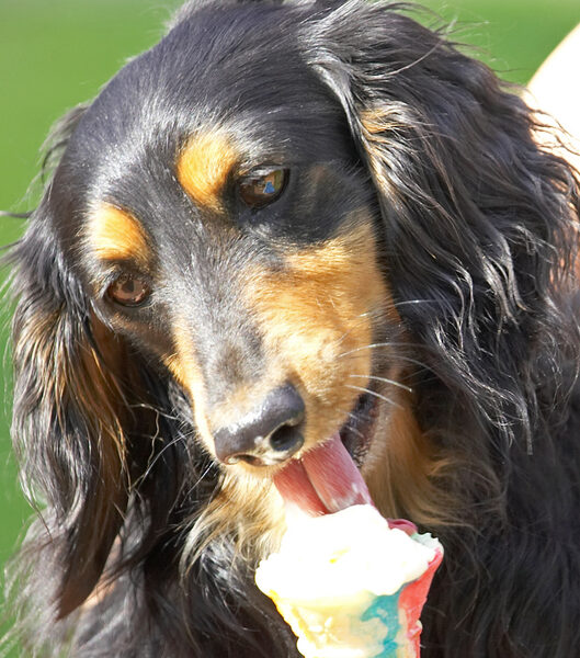 Yummy - ice cream