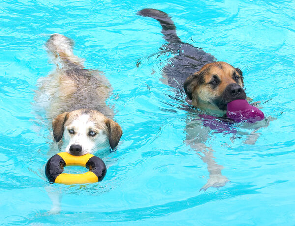 Look, I've got a new toy