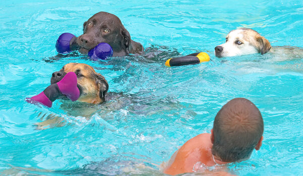 Now we've all got a toy