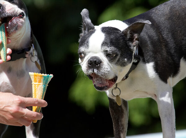 Well, give me the cone then