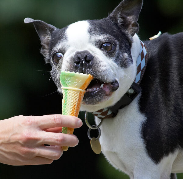 Now for the cone