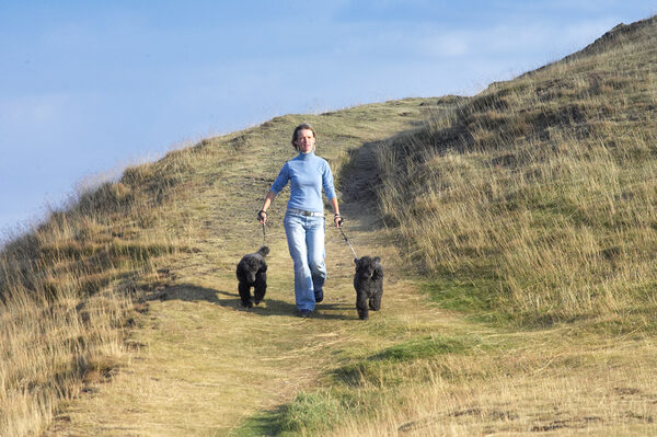 This is a really cool walk
