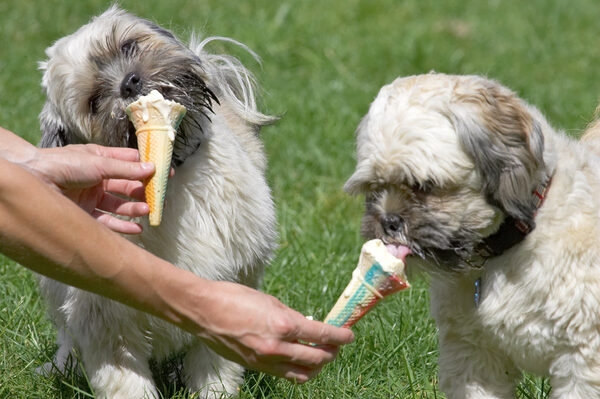 Pure enjoyment