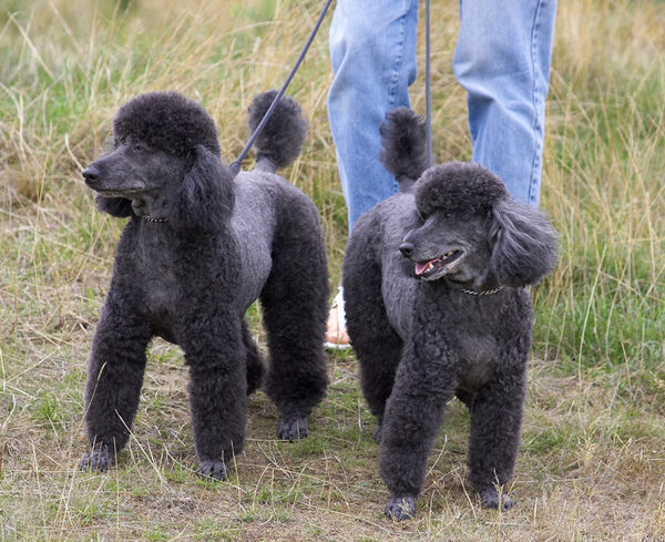 This is us showing off our new haircut