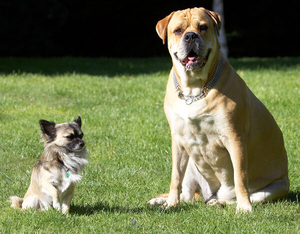The odd couple