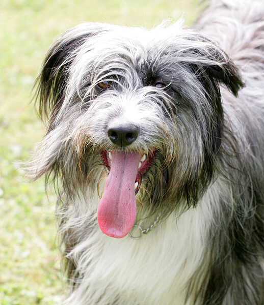 Nell
