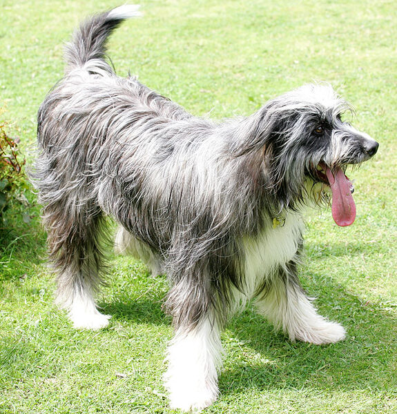 Nell