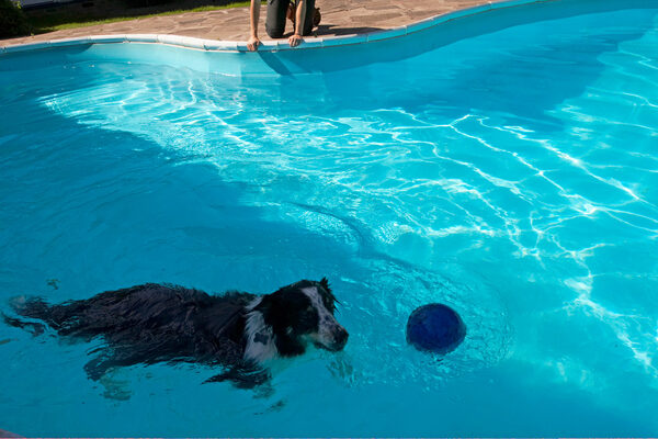 No ball can escape from me