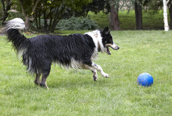 Hey, a  ball just my size