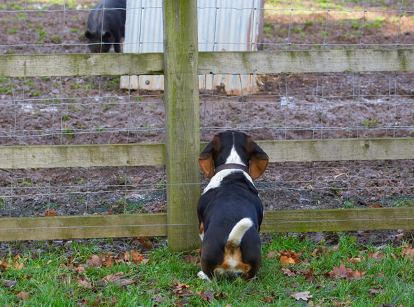 'ere, wot's that?