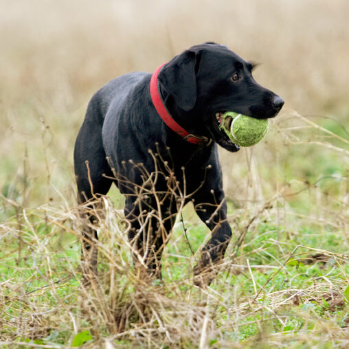 Jus' gotta check out wot's going over there