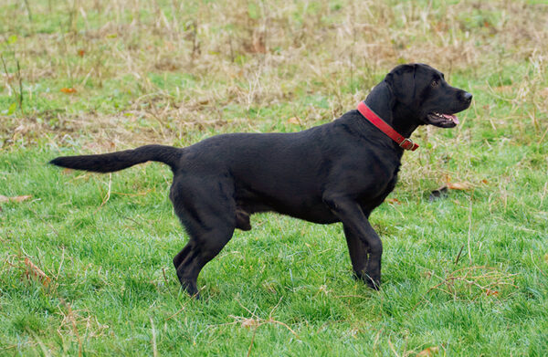Go on, throw, I'm ready