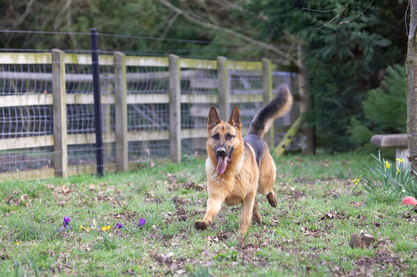 In full flight