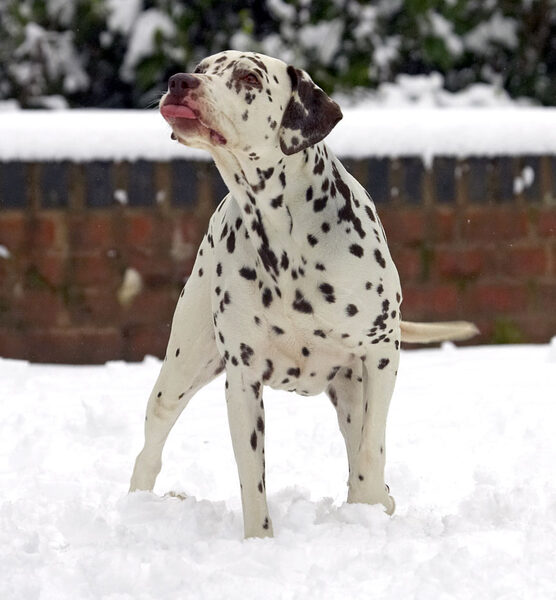 Hurry up, my feet are getting cold