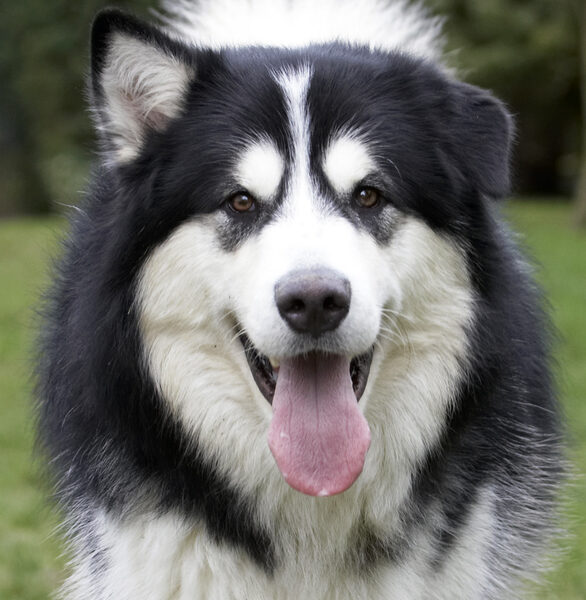 Aren't I a handsome dude