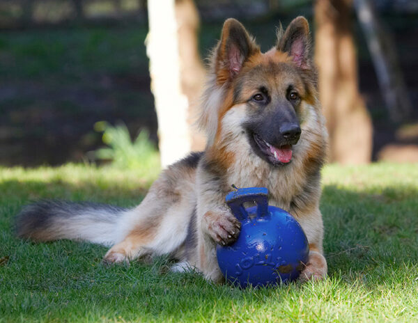 I'll make sure no-one gets this ball