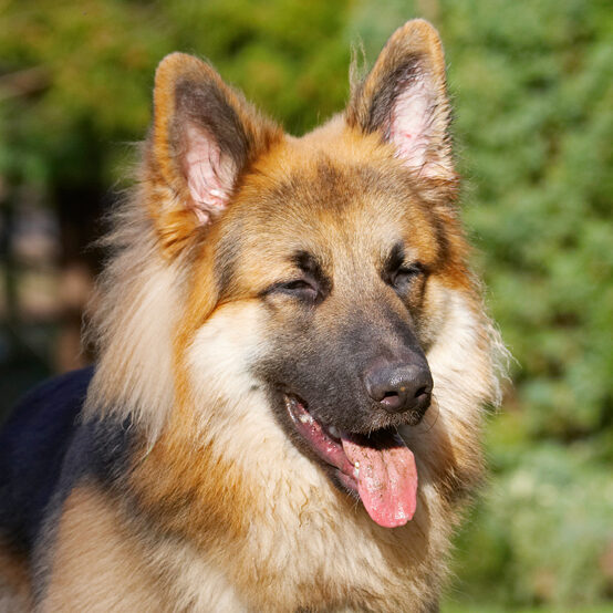 Euew, is that MY tongue??