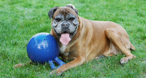 Yep, I'm guarding my prize