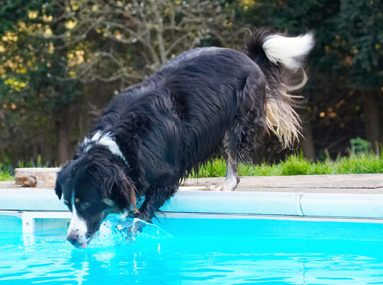 Shall I go in - or not!