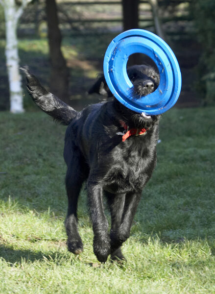Hey, I can't see where I'm going