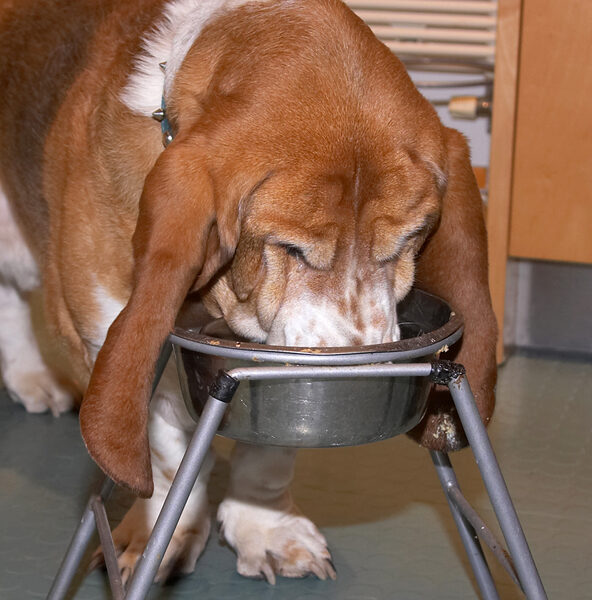 Douglas Tucking In