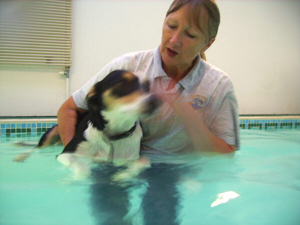 Murphy in the Pool