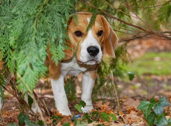 Can they see me?