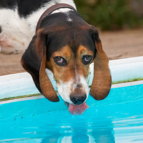 I'm jus' having a drink, OK?!