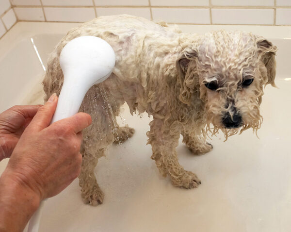 Yep, make sure that water is warm
