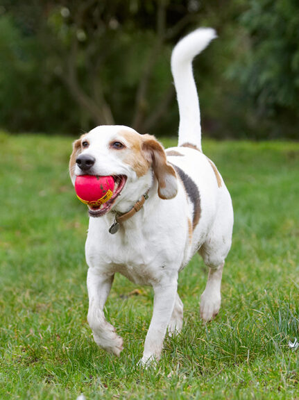 OK, let's have another throw