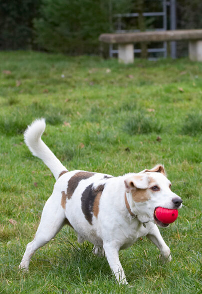 .... and another great catch