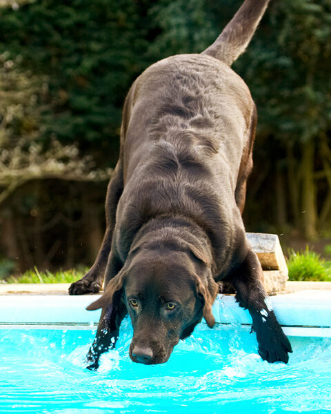 Shall I go in...........