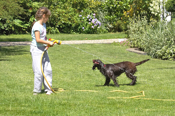 Team work