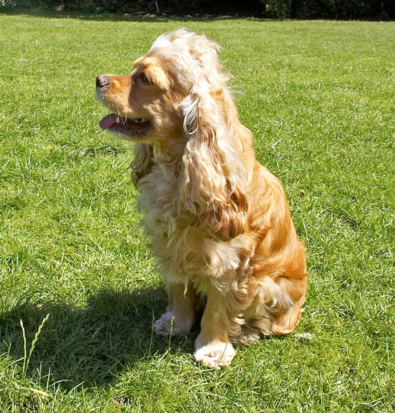 Surveying my kingdom