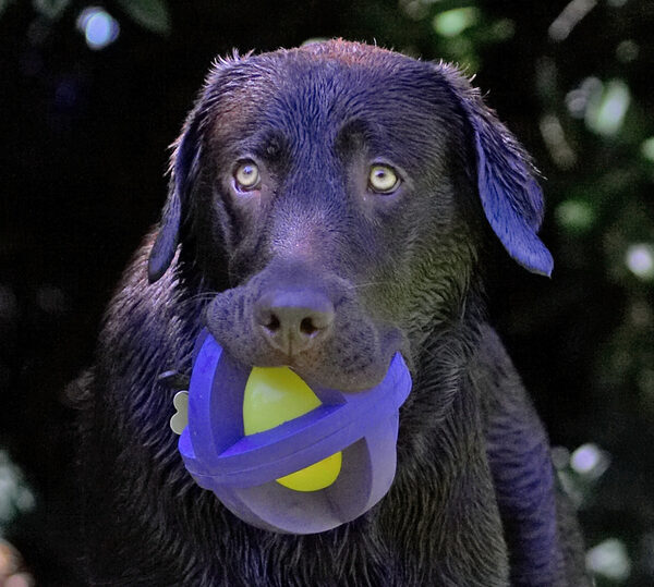 This is my favourite ball