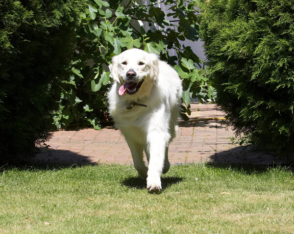Here I come, what's happenin'?