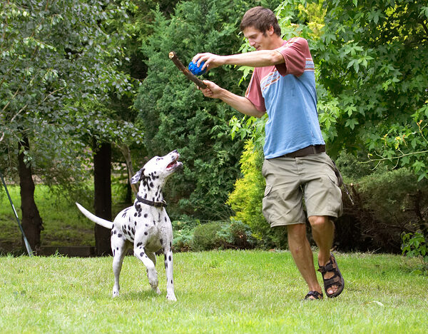 Go on, throw it