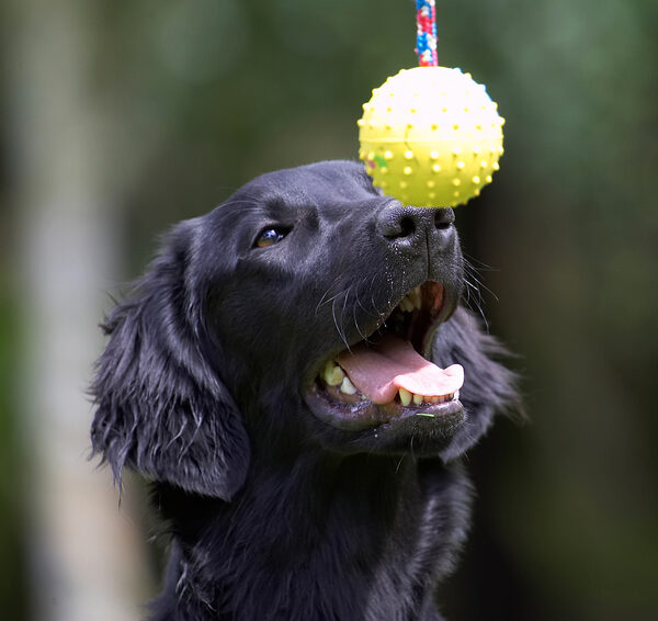 Is that for me?