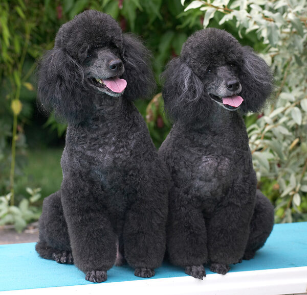 Aren't we a cute pair!