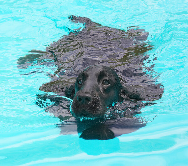 Look how my coat floats