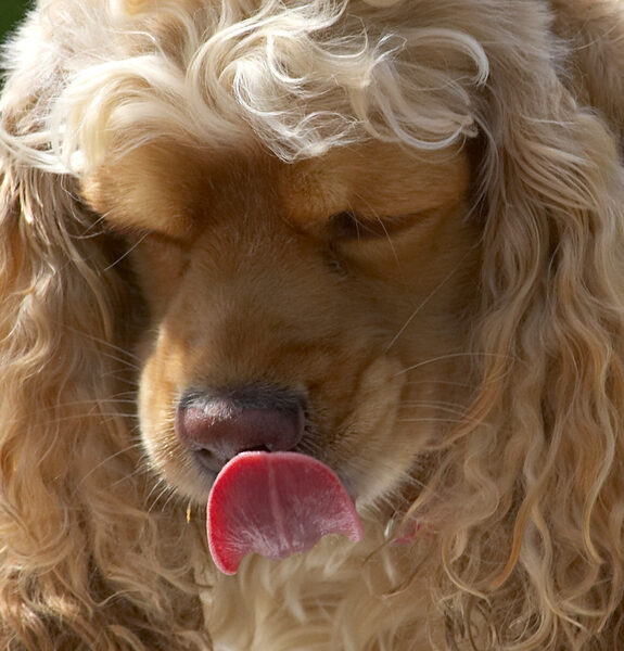 Yum, yum, yum