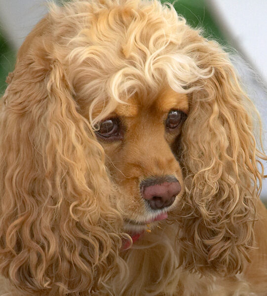 Aren't I glamorous!
