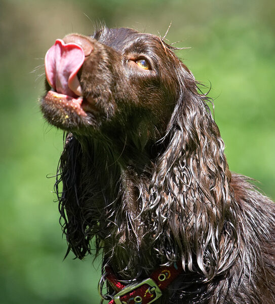 Lip smackin' good