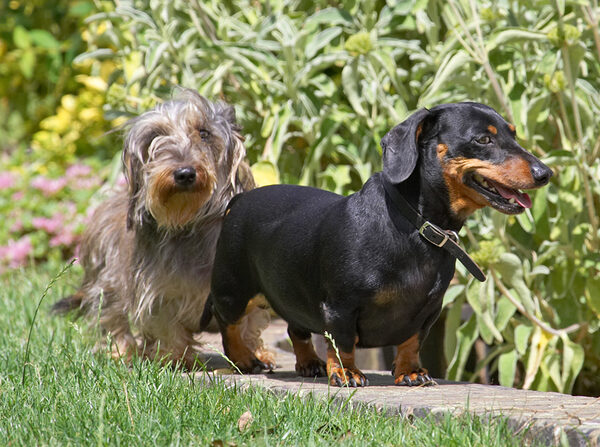 Do you think they can see us here?