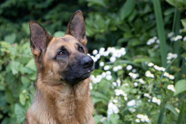 I'm waiting patiently.........