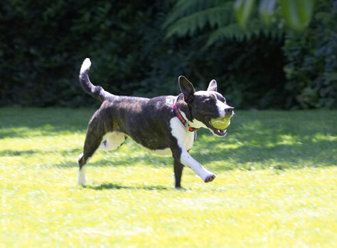 This ball is just MY size